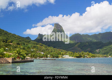 Baie de Cook, Mo'orea, îles de la société, Polynésie Française Banque D'Images