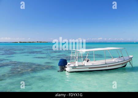 Hauru Point, Mo'orea, îles de la société, Polynésie Française Banque D'Images