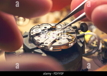 Travailler sur une montre mécanique. Les décideurs d'une montre. de surface de travail Le fonctionnement interne d'un vintage montre mécanique. Banque D'Images