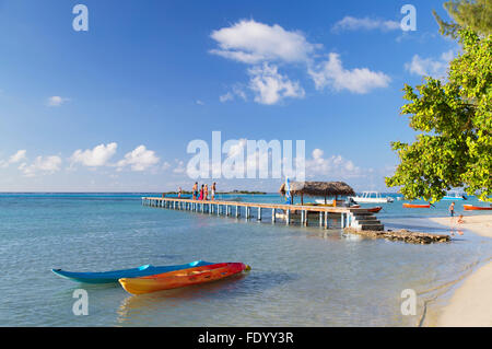 Hauru Point, Mo'orea, îles de la société, Polynésie Française Banque D'Images