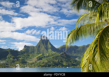 Baie de Cook, Mo'orea, îles de la société, Polynésie Française Banque D'Images