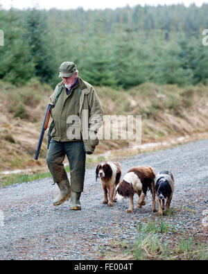 Garde-chasse et chiens Banque D'Images