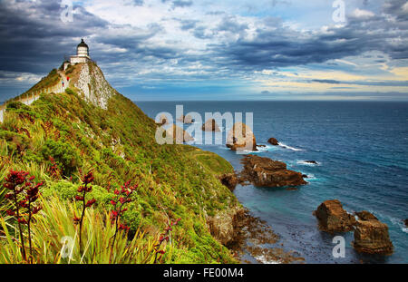 Nugget Point Lighthouse, Nouvelle-Zélande Banque D'Images