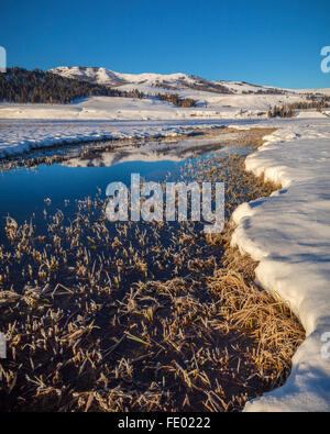 Le Parc National de Yellowstone, WY : Une glaciale Lamar River reflétant Speciman Ridge sur un matin d'hiver Banque D'Images