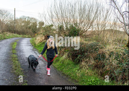 Jeune fille marche son chien vers le bas une route de campagne dans la région de Ballydehob, West Cork, Irlande. Banque D'Images