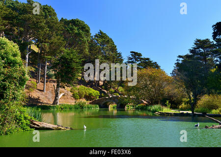 Stow Lake dans le Golden Gate Park, San Francisco, California, USA Banque D'Images
