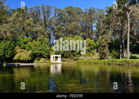 Spreckels Lake dans le Golden Gate Park, San Francisco, California, USA Banque D'Images