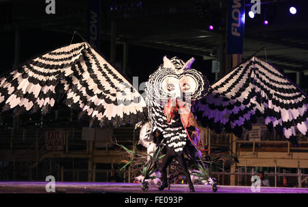 Port of Spain, Trinidad. 2 Février, 2016. Glen Dave Lakhan a remporté la 8e place avec son costume intitulé 'Nuit de l'hiboux créatures" au cours de la reine et roi du Carnaval grand finale au Queen's Park Savannah dans le cadre de la Trinité-et-Tobago Carnival le 2 février 2016 à Port of Spain, Trinidad. Credit : SEAN DRAKES/Alamy Live News Banque D'Images