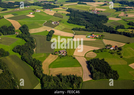 Par antenne, agriculture, élevage, champs et prairies et forêts dans les contreforts des Alpes à Linz, Brauchsdorf, Haute Autriche, Banque D'Images