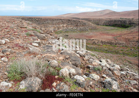 Los Molinos, Fuerteventura, Espagne Banque D'Images