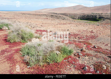 Los Molinos, Fuerteventura, Espagne Banque D'Images