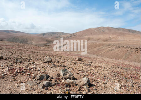 Los Molinos, Fuerteventura, Espagne Banque D'Images