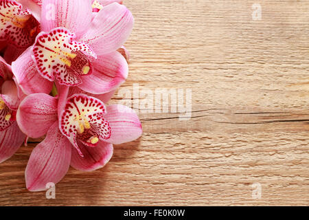 Belles fleurs orchidée rose sur fond de bois Banque D'Images