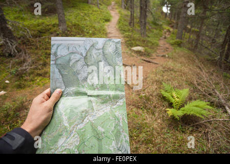 Trouver la bonne position dans la forêt avec une carte Banque D'Images