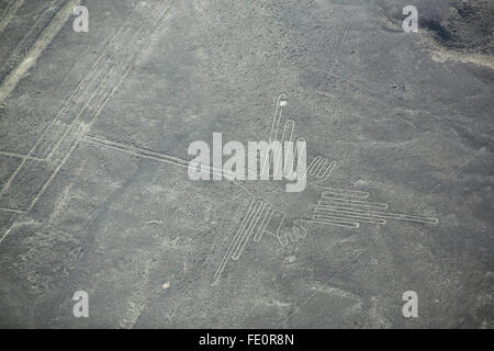 Vue aérienne de lignes de Nazca - Hummingbird géoglyphe, Pérou. Les lignes ont été désignées comme site du patrimoine mondial de l'UNESCO en 1994. Banque D'Images