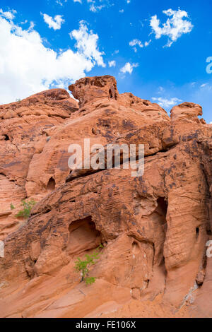 Paysage de Red Rock, Vallée de Feu Park, Nevada, USA Banque D'Images