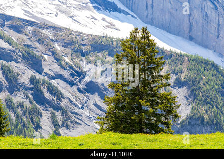 Magnifique vue des Alpes suisses et de prairies près de l'Oeschinensee (Oeschinen Lake), sur l'Oberland Bernois, Suisse Banque D'Images