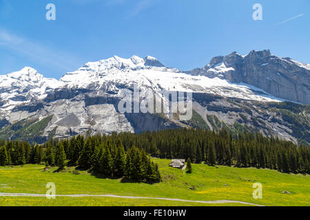 Magnifique vue des Alpes suisses et de prairies près de l'Oeschinensee (Oeschinen Lake), sur l'Oberland Bernois, Suisse Banque D'Images