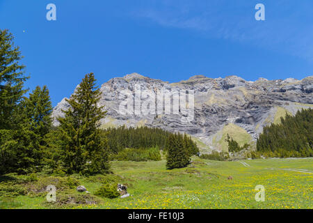 Magnifique vue des Alpes suisses et de prairies près de l'Oeschinensee (Oeschinen Lake), sur l'Oberland Bernois, Suisse Banque D'Images