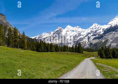 Magnifique vue des Alpes suisses et de prairies près de l'Oeschinensee (Oeschinen Lake), sur l'Oberland Bernois, Suisse Banque D'Images