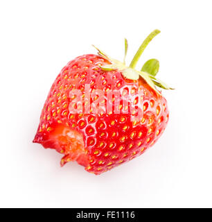 Mordu strawberry isolé sur fond blanc Banque D'Images