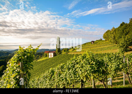 Vignobles le long de la Route des vins du sud de la Styrie, Autriche l'Europe à l'automne Banque D'Images