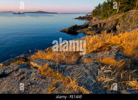 L'île de Saltspring (Colombie-Britannique) : aube lumière sur la côte rocheuse de Beaver Point et le chenal Swanson, parc provincial Ruckle Banque D'Images