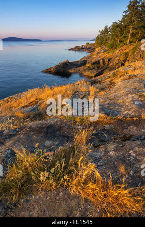 L'île de Saltspring (Colombie-Britannique) : aube lumière sur la côte rocheuse de Beaver Point et le chenal Swanson, parc provincial Ruckle Banque D'Images