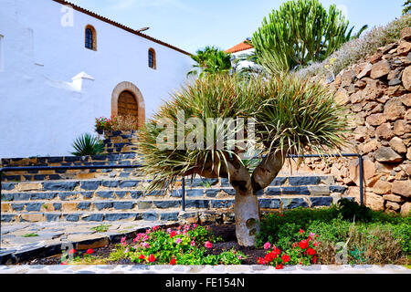 Betancuria village à Fuerteventura Canaries de l'Espagne Banque D'Images