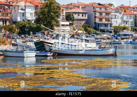 Navires bateaux port boue d'algue de mer Banque D'Images