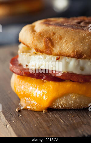 Petit-déjeuner fait maison avec du fromage Sandwich Œuf sur un muffin anglais Banque D'Images