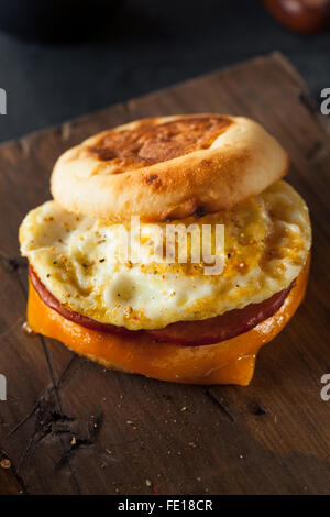 Petit-déjeuner fait maison avec du fromage Sandwich Œuf sur un muffin anglais Banque D'Images