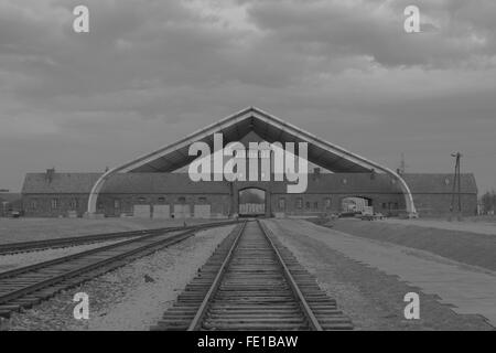 Image en noir et blanc d'une ligne de chemin de fer menant à l'entrée du camp de la mort nazi à Auschwitz en Pologne en hiver Banque D'Images