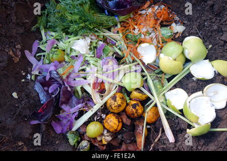 Une attente remplie de morceaux de fruits et légumes prêt pour le compostage Banque D'Images