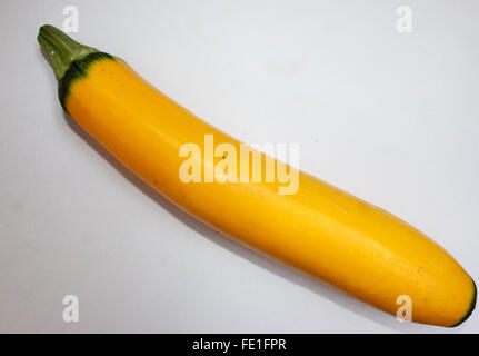 Cucurbita pepo, jaune courgettes cultivar, fruits cylindriques jaune or pâle, chair blanche, légume cuit Banque D'Images