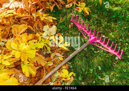 Pile de feuilles d'automne et le râteau sur la pelouse Banque D'Images