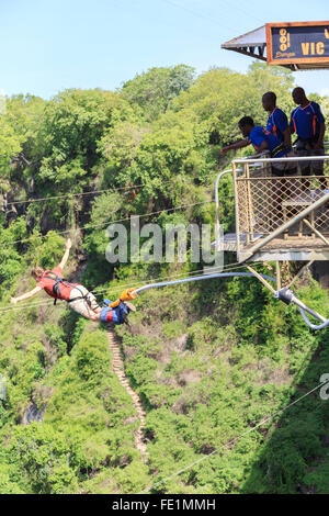 Le saut à l'arrêt Pont de Victoria Falls, l'Afrique Banque D'Images