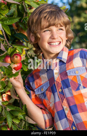 Outdoor portrait of happy Young boy enfant mâle le choix d'une pomme rouge organique d'un arbre dans un verger avec sourire dents parfaite Banque D'Images