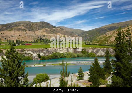 Vignes à Bannockburn, et Kawarau Arm du lac Dunstan, près de Cromwell, Central Otago, île du Sud, Nouvelle-Zélande Banque D'Images