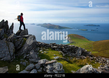 Walker à l'ensemble de Slea Head et les îles Blasket depuis Eagle Mountain, comté de Kerry, Irlande. Banque D'Images