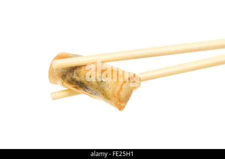 Crevette et coriandre rouleau de printemps qui a eu lieu à baguettes isolés contre white Banque D'Images