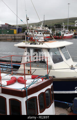 Dans les bateaux de plaisance de Dingle, Irlande Banque D'Images