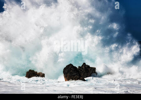 Les vagues massives d'exploser contre les rochers de lave en mer à Laupahoehoe Point sur la grande île d'Hawaï. Banque D'Images