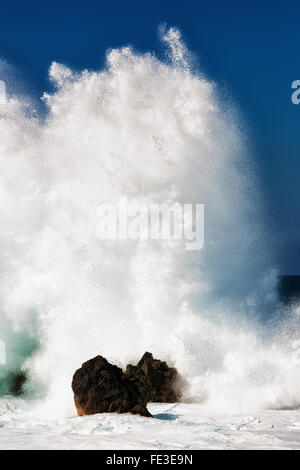 Les vagues massives d'exploser contre les rochers de lave en mer à Laupahoehoe Point sur la grande île d'Hawaï. Banque D'Images