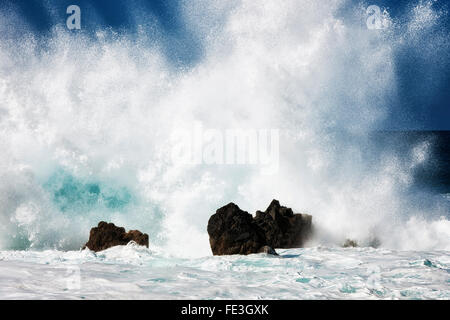 Les vagues massives d'exploser contre les rochers de lave en mer à Laupahoehoe Point sur la grande île d'Hawaï. Banque D'Images