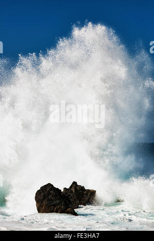 Les vagues massives d'exploser contre les rochers de lave en mer à Laupahoehoe Point sur la grande île d'Hawaï. Banque D'Images