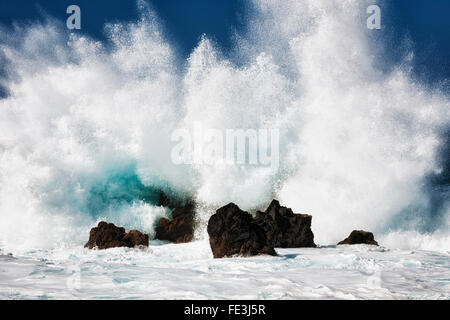 Les vagues massives d'exploser contre les rochers de lave en mer à Laupahoehoe Point sur la grande île d'Hawaï. Banque D'Images