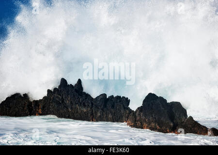 Les vagues massives d'exploser contre les rochers de lave en mer à Laupahoehoe Point sur la grande île d'Hawaï. Banque D'Images