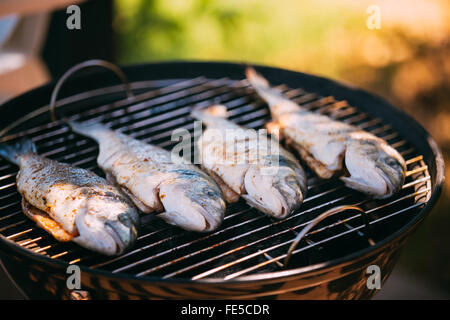 La dorade royale (Sparus aurata), poissons grillés, à l'extérieur. Des plats à faible teneur en calories, alimentation saine. Cuisine espagnole. Banque D'Images