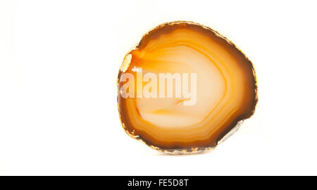 L'article d'un livre blanc et orange dans geode fond blanc Banque D'Images